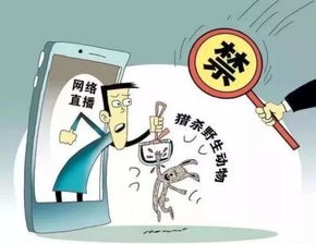 科技賦能美甲服務(wù) 創(chuàng)新體驗(yàn)與行業(yè)變革