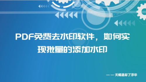 PDF水印免費(fèi)去除軟件、批量添加水印方法及化妝品行業(yè)PDF水印制作教程